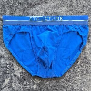 Structure Blue Briefs with Signature Waistband